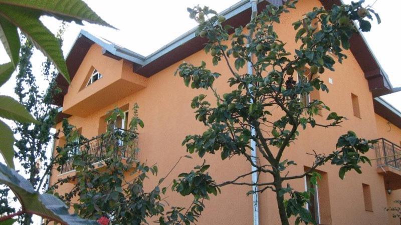 Lary Hostel Suceava Eksteriør billede