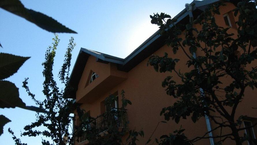 Lary Hostel Suceava Eksteriør billede