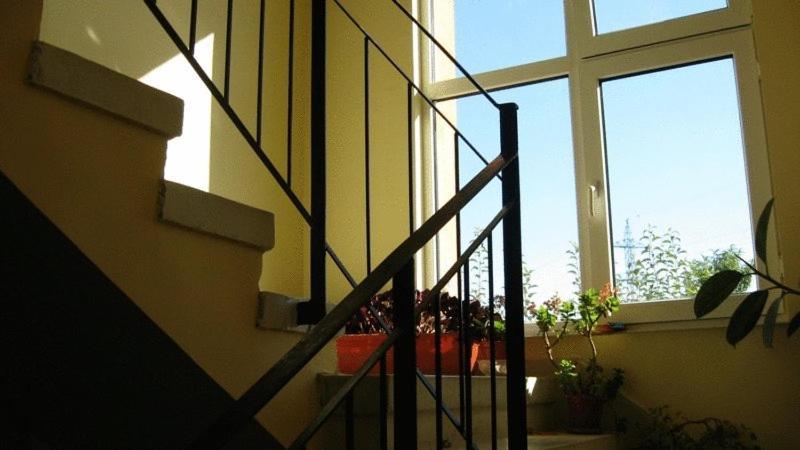 Lary Hostel Suceava Eksteriør billede