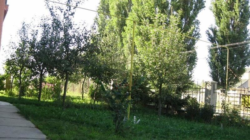 Lary Hostel Suceava Eksteriør billede