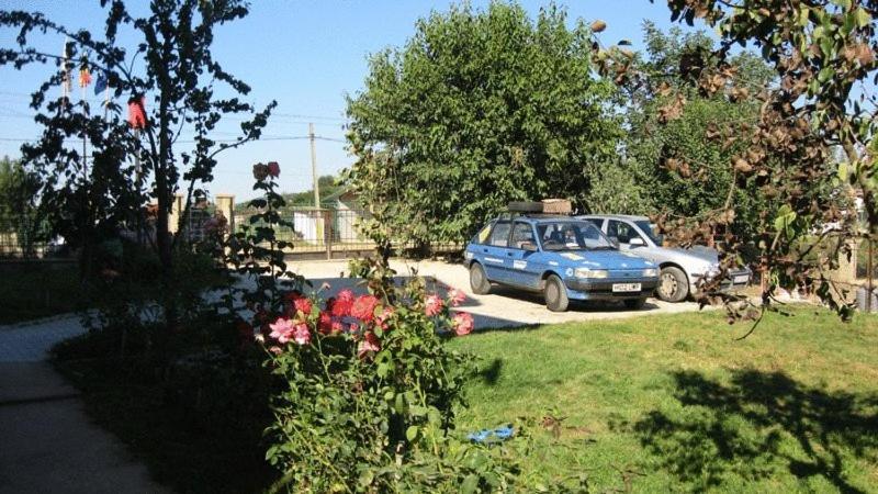 Lary Hostel Suceava Eksteriør billede