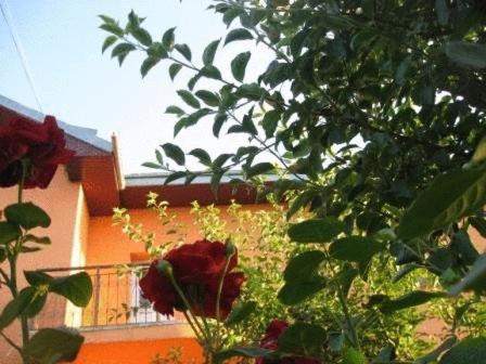 Lary Hostel Suceava Eksteriør billede