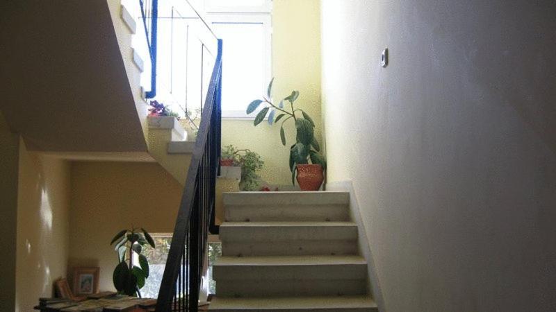 Lary Hostel Suceava Eksteriør billede