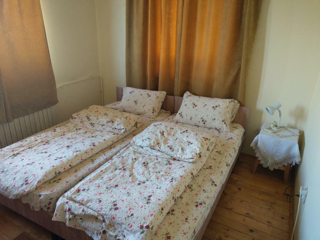 Lary Hostel Suceava Eksteriør billede