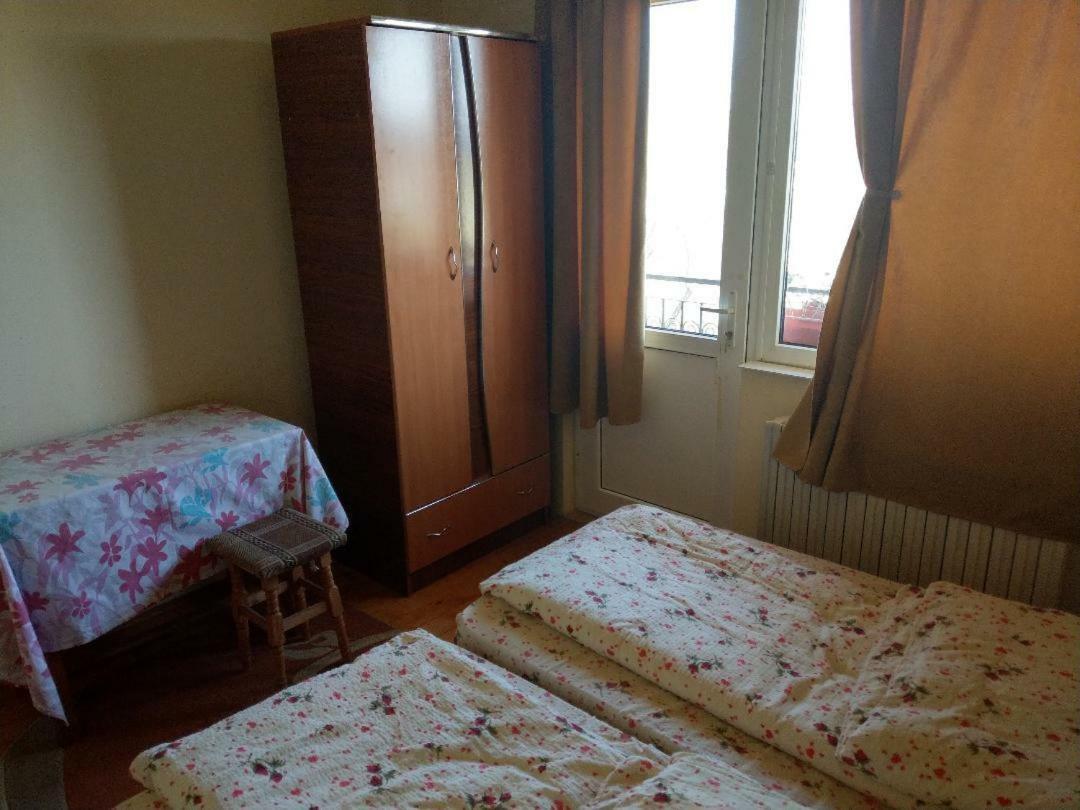 Lary Hostel Suceava Eksteriør billede